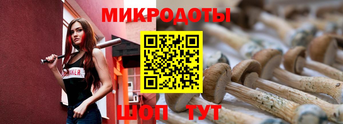 Галлюциногенные грибы GOLDEN TEACHER  Вход с VPN  Сухой Лог  Галлюциногенные грибы Magic Shrooms 